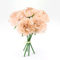 5pcs/lot Peony Flower Artificial Flowers Wedding Decorative Flowers Fake Flowers Living Room Table Home Garden Decor Accessories